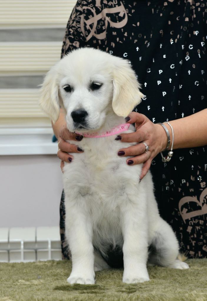 viber_image_2025-03-25_12-04-27-690