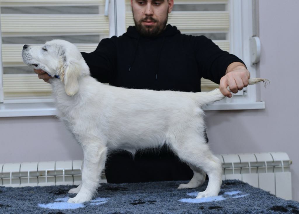 viber_image_2025-03-25_12-04-28-073