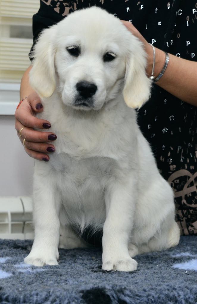 viber_image_2025-03-25_12-04-28-533