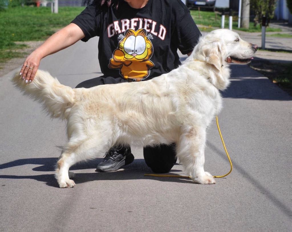 viber_image_2025-03-25_12-04-30-281