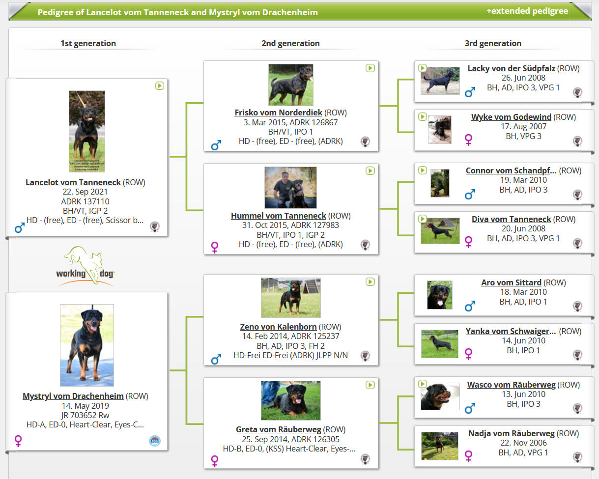 Pic07_pedigree