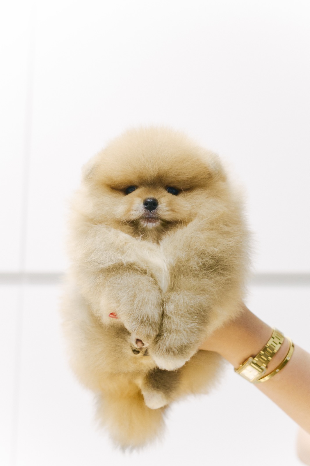 viber_image_2025-09-30_07-03-46-673