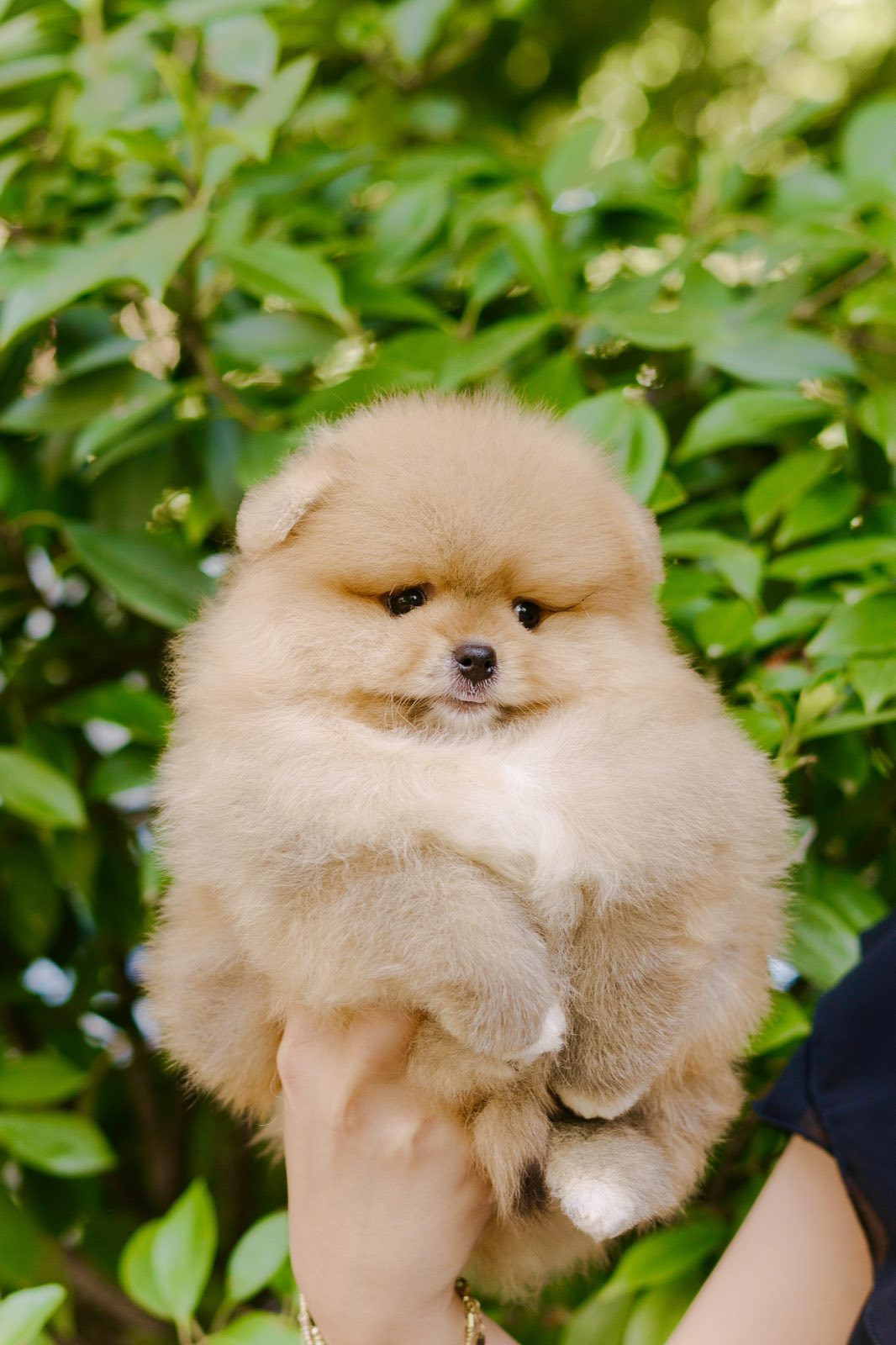 viber_image_2025-09-30_07-03-51-266