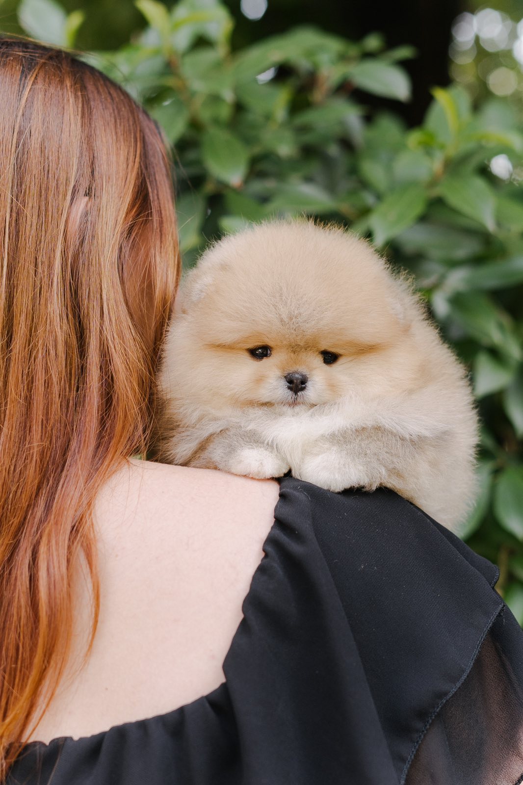 viber_image_2025-09-30_07-04-00-150