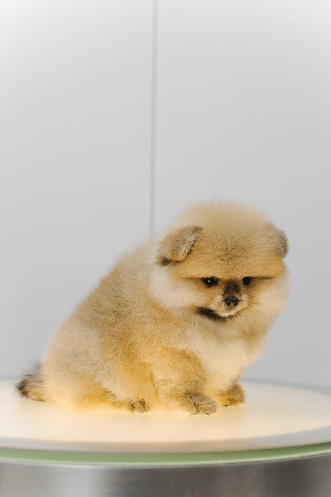 viber_image_2025-09-30_07-04-02-710