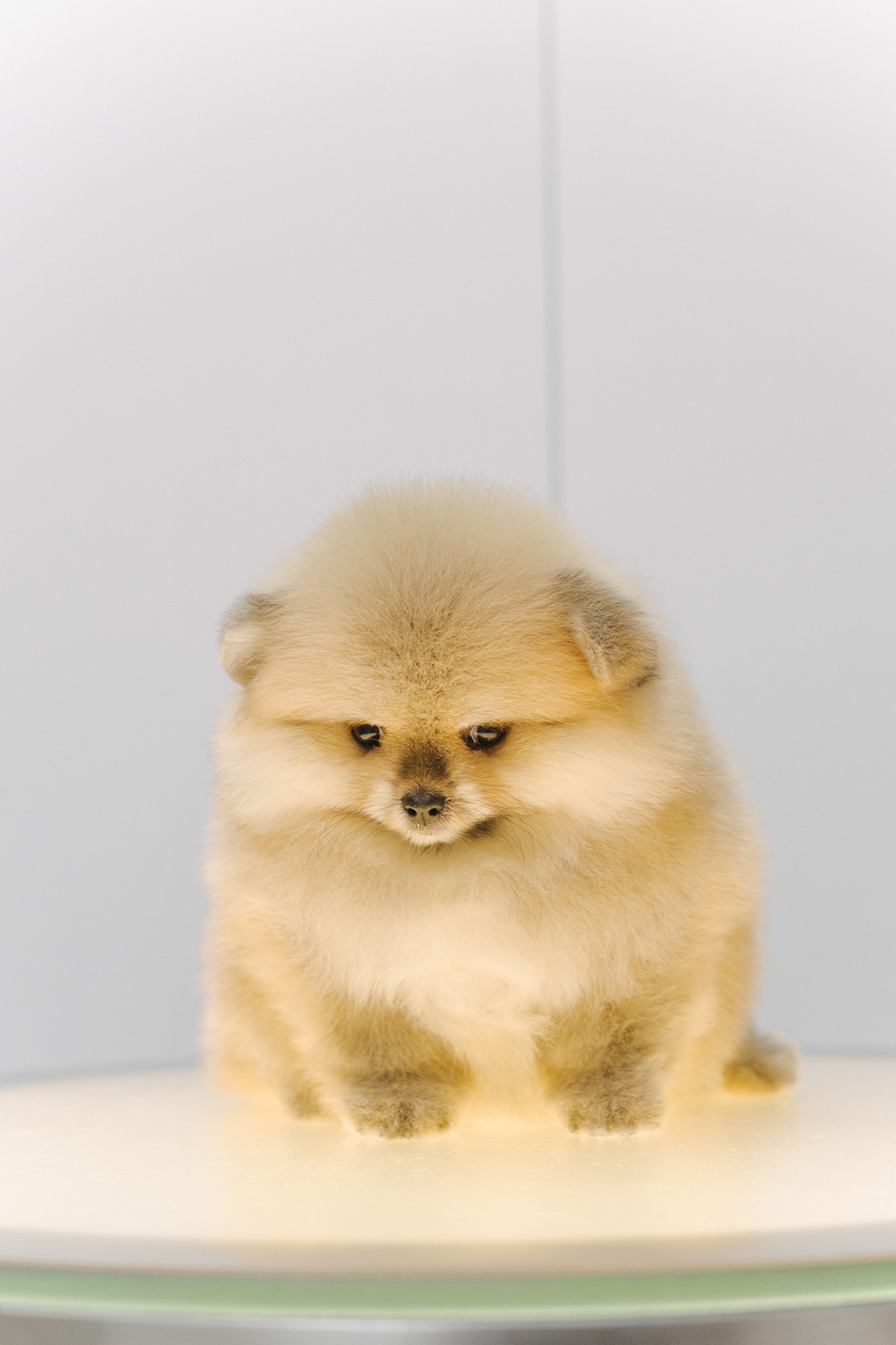 viber_image_2025-09-30_07-04-33-699